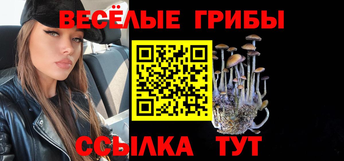 Сальск  Галлюциногенные грибы Magic Shrooms  Вход с VPN 