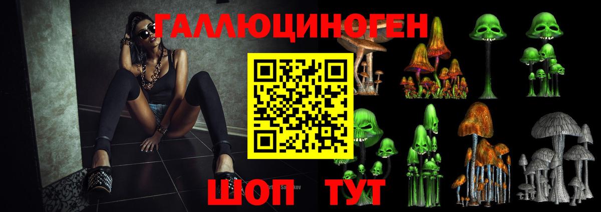Псилоцибиновые грибы мицелий Сальск
